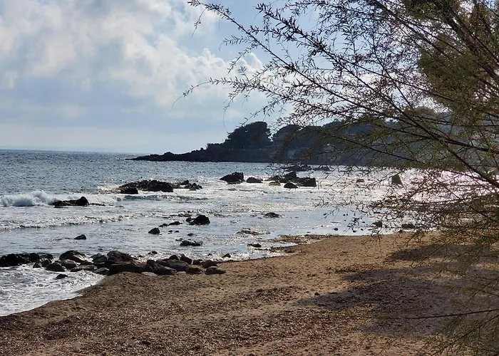 公寓 Saint-raphael La Peguiere Face A La Vue Saint-Raphaël